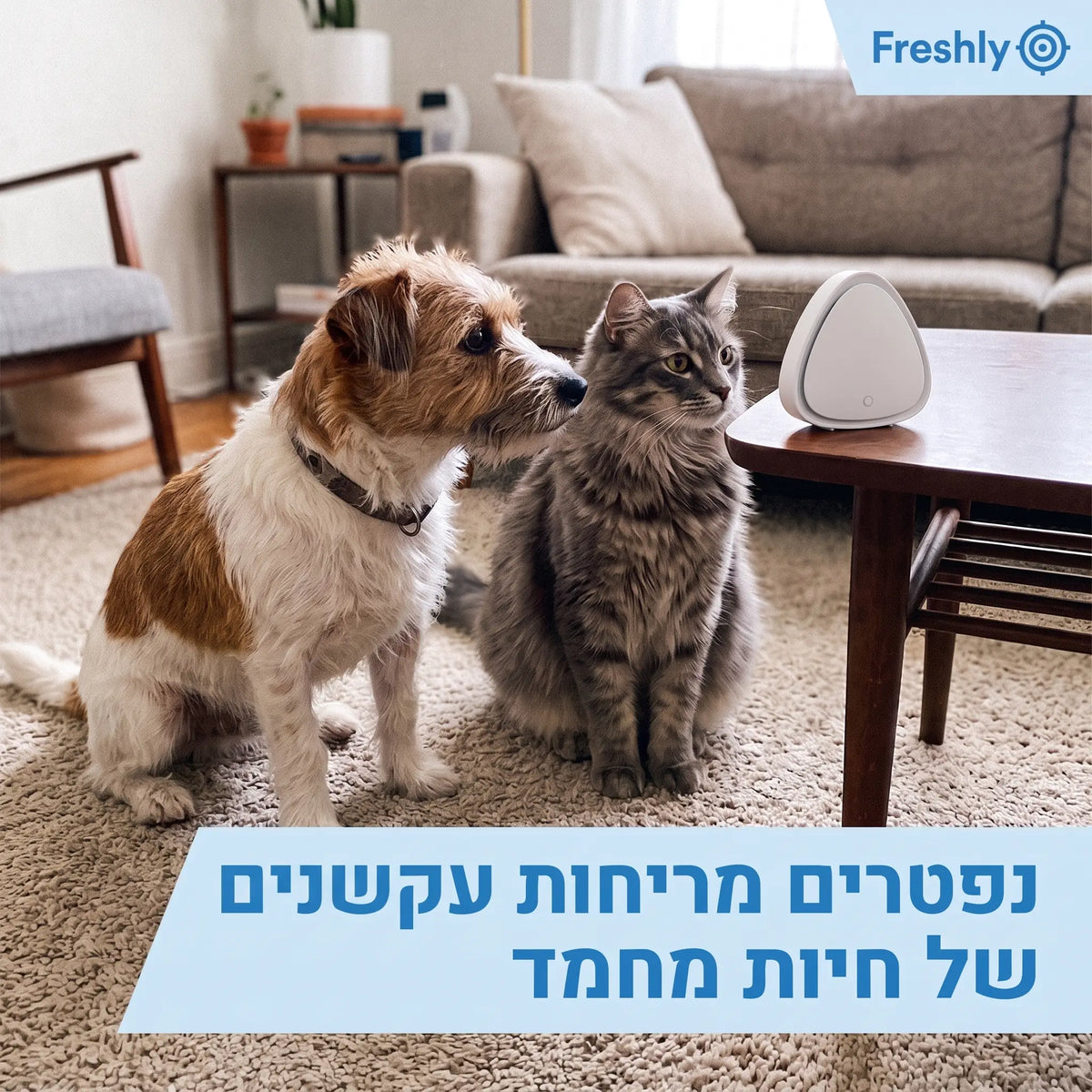 Freshly | המנטרל ריח סיגריות בעלי חיים ומטבח בלחיצה אחת