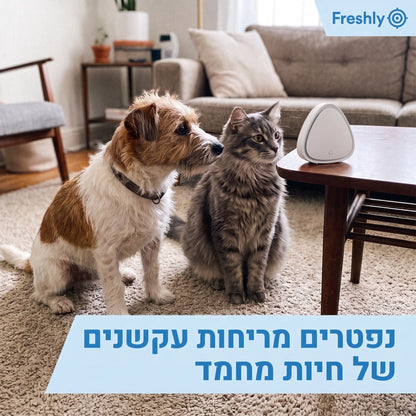 Freshly | המנטרל ריח סיגריות בעלי חיים ומטבח בלחיצה אחת
